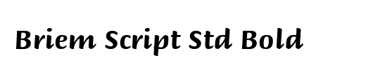 Briem Script Std