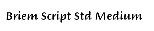 Briem Script Std