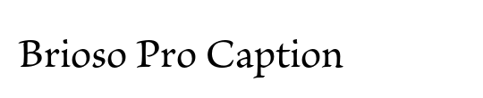 PT Serif Caption