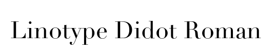 Didot LT Roman