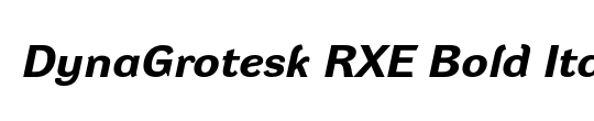 DynaGrotesk R