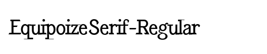 EquipoizeSerif