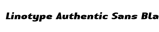 LTAuthenticSans Medium