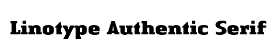 LTAuthenticSerif Medium