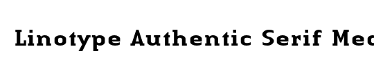 LTAuthenticSmallSerif Medium