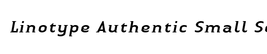 LTAuthenticSmallSerif Medium