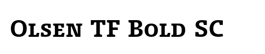 FoundryFormSerif