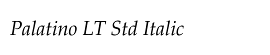 Palatino-Italic Cn