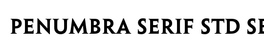 Penumbra HalfSerif Std