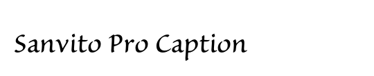 PT Serif Caption