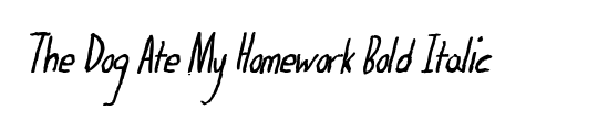 Holidays Homework