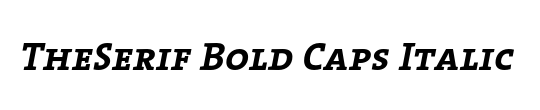 TheSerifBold