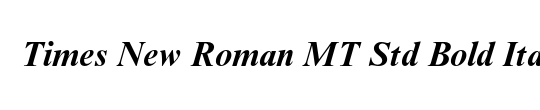 Times New Roman PS