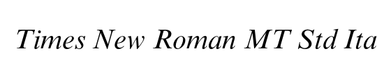 Times New Roman