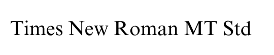 Times New Roman