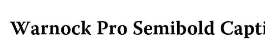 Sanvito Pro