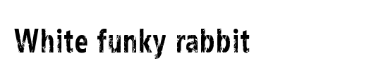 The Rabbit