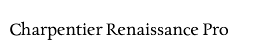 Renaissance Shoes