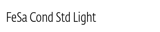 Erbar LT LightCondensed