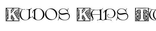 Kudos Light Condensed SSi