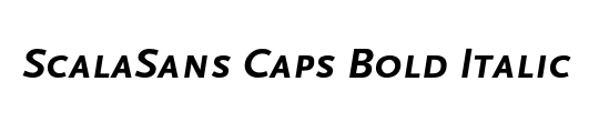 ScalaSans Caps Exp