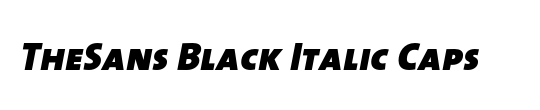 The Sans Black-