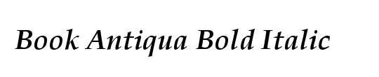 Book Antiqua 