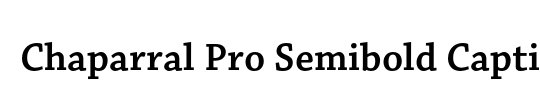 Sanvito Pro