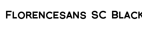 Florencesans Black