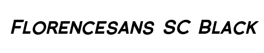 Florencesans Black