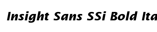 Insight Sans SSi