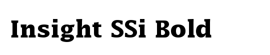 Insight Sans SSi