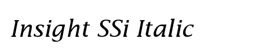 Insight Sans SSi