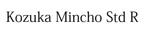 MS Mincho