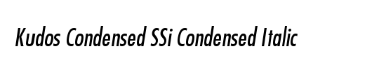 Kudos Condensed SSi