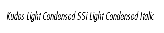 Kudos Condensed SSi