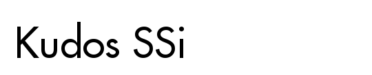 Kudos Condensed SSi