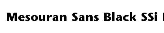 Mesouran Sans SSi