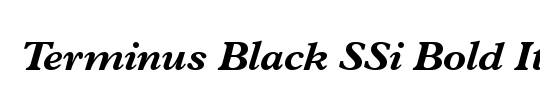 Terminus Black Condensed SSi