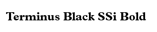 Terminus Black Condensed SSi