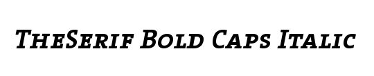 The Serif Bold-