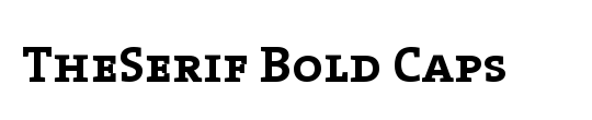 The Serif Bold-