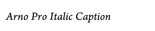 PT Serif Caption