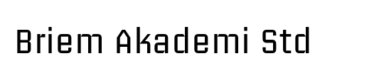 Briem Akademi Std