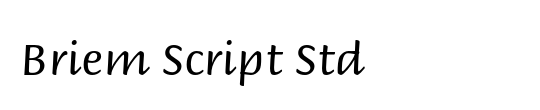 Briem Script Std