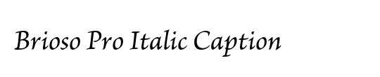 PT Serif Caption