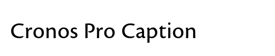 PT Serif Caption