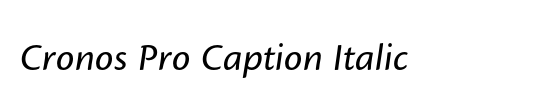 PT Serif Caption