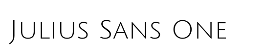 Julius Sans One