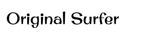 Unique Surfer